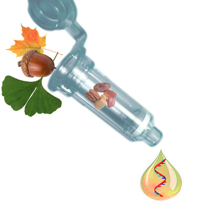 GenCatch™ Plant Total RNA mini spin column