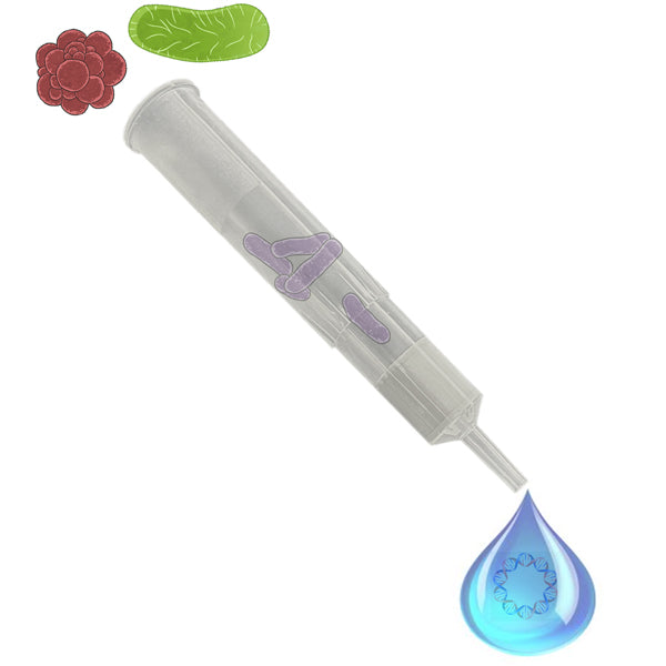 GenCatch™ Plasmid DNA Midi-Prep Kit - Epoch Life Science