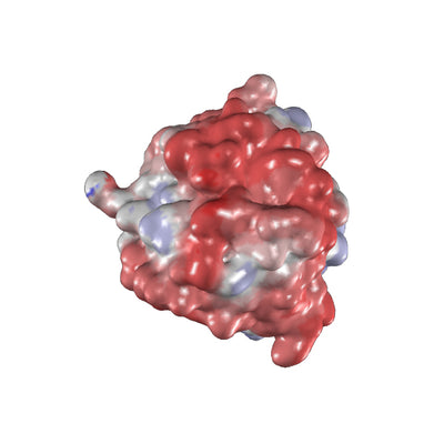 Proteinase K, DNase and RNase Free